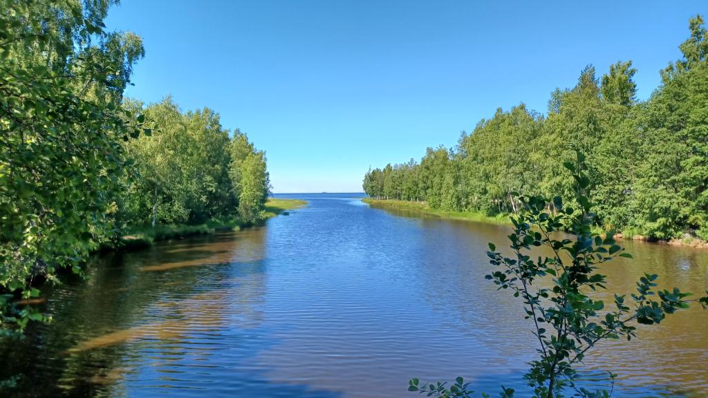 Kuvassa näkymä Piehinginjoella padon kohdalta