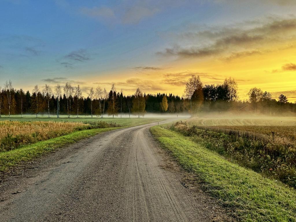 Usvaa peltoaukealla auringonlaskun aikaan syksyisellä Raahen maaseudulla.