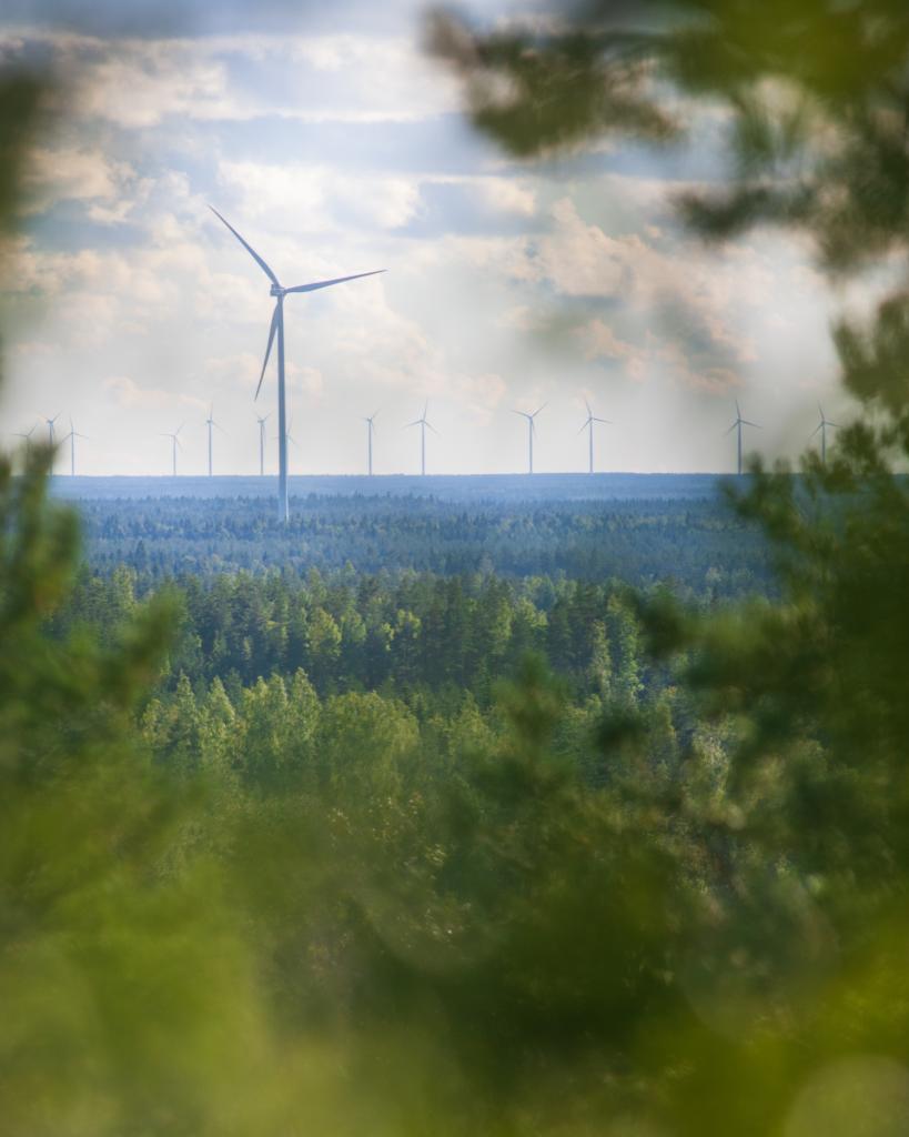 Tuulivoimapuistoa metsäisellä alueella.