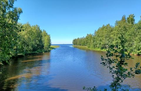 Kuvassa näkymä Piehinginjoella padon kohdalta