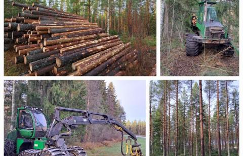 Harvennettua metsää ja työkoneita.