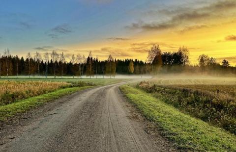 Usvaa peltoaukealla auringonlaskun aikaan syksyisellä Raahen maaseudulla.