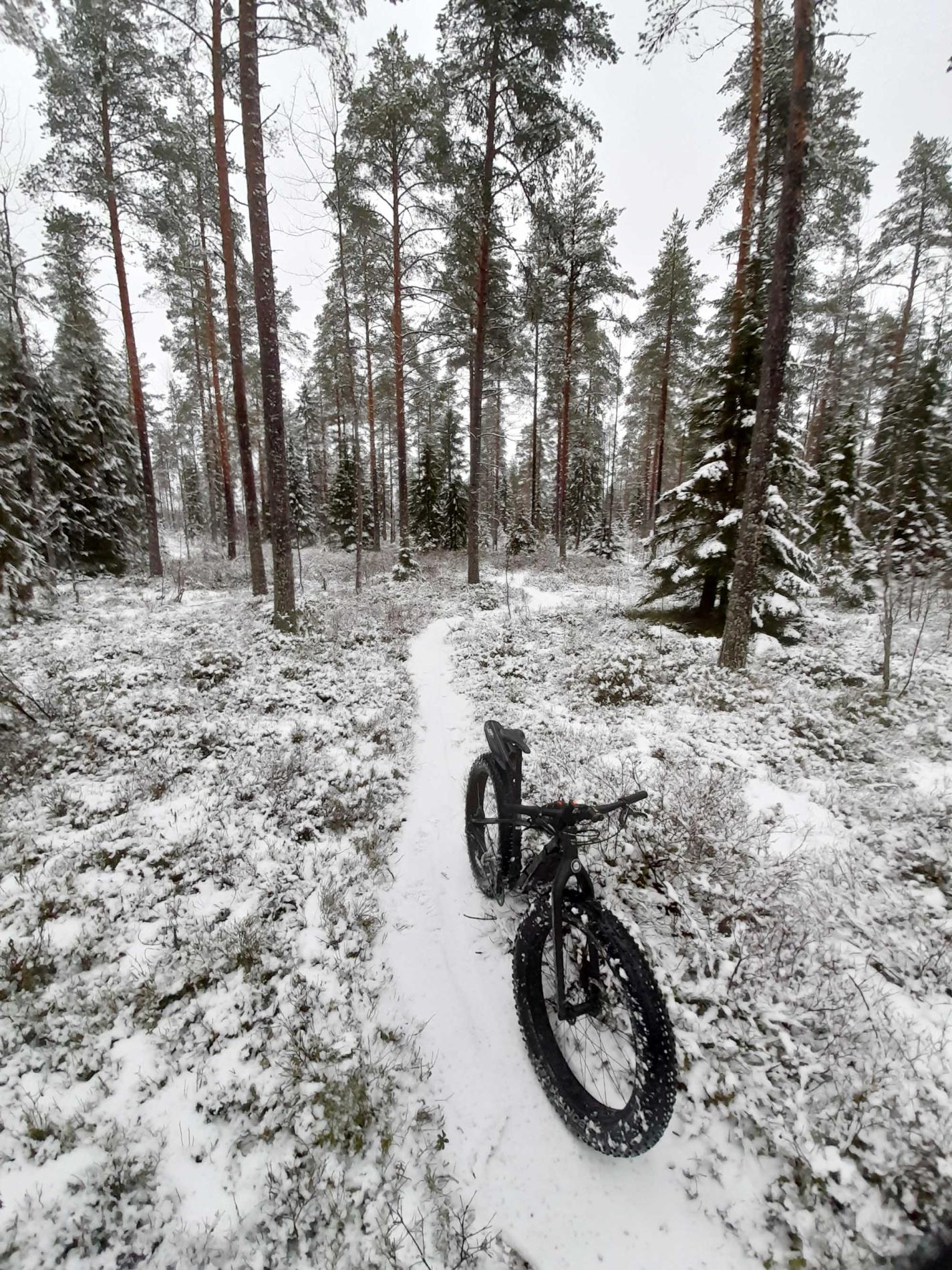 Fatbike alkutalvisella metsäpolulla.