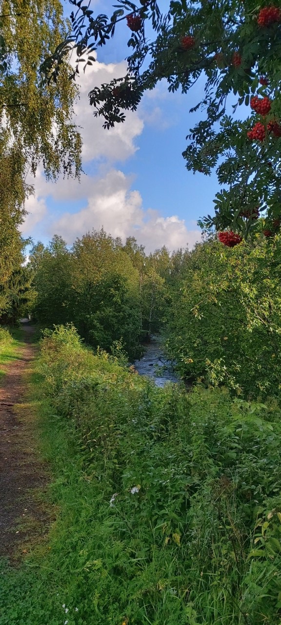 Lenkkipolku pienen joen varrella.