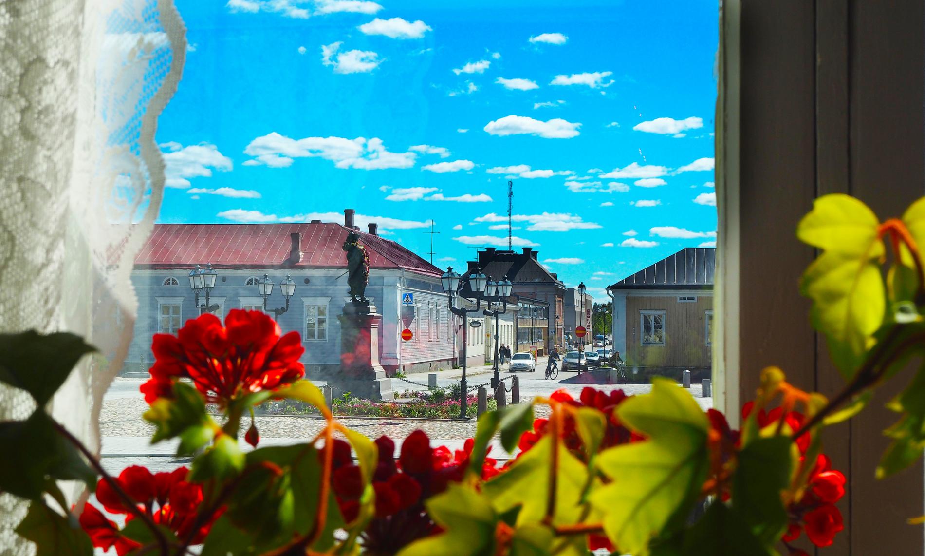 Flowers on a window sill, in the background Pekka statue.